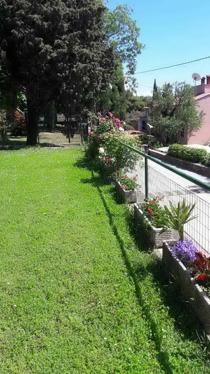 Hôtel Apartmaji, Sobe - Obzidje à Piran Extérieur photo